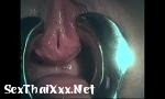 คลังสินค้า คลิปโป๊ BDSM. Fingering girl& 039;s urethra ล่าสุด 2018