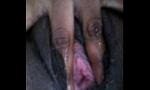 ดาวน์โหลด คลิปโป๊ rubbing my wet sy ฟรี ใน SexThaiXxx.Net