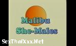 ดาวน์โหลด คลิปโป๊ Metro - Malibu Sme Males - Full movie ล่าสุด - SexThaiXxx.Net