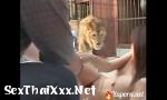 ดาวน์โหลด คลิปโป๊ having sex in a lion& 039;s den Mp4 ฟรี