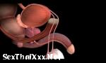 คลิปโป๊ How to Milk a Bull-3 ร้อน ใน SexThaiXxx.Net