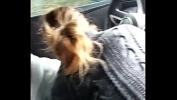 คริปโป๊ Blonde milf blowjob in the car doesnt like to catch ล่าสุด