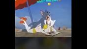 หนังโป๊ Tom amp Jerry fun Mp4 ล่าสุด