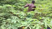 คริปโป๊ I fuck my king wife at the cassava plantation with mask on her face 3gp