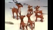 หนังxxx Rudolph the Red Nosed Reindeer lpar 1964 rpar 3gp ฟรี