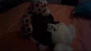 คลิปโป๊ Teady bear with big ass and tits get fucked by other tedy bear with big dick ฟรี