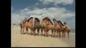 คลิปxxx Brazilian Orgy Compilation 2024 ร้อน