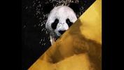 หนังav Desiigner vs period Future Panda Mask Off lpar JLENS Edit rpar ฟรี