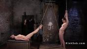 คลิปโป๊ออนไลน์ Two slaves suffers in rope bondage ร้อน 2024