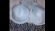 ดูหนังxxx Cum on BBW Mexican aunts used underwear and bra 2024