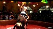 ดูหนังxxx How To Properly Ride A Mechanical Bull Video ฟรี