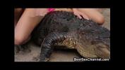 คลิปโป๊ WTF Hot Babes Riding Alligators excl ดีที่สุด ประเทศไทย