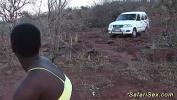 คลิปโป๊ wild african safari sex orgy 2024