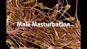 หนัง18 Male Masturbation 3gp ล่าสุด