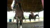 หนัง18 Fucking on Horse Mp4 ล่าสุด