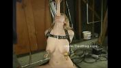 คลิปxxx Redhead is tied up and has her thighs and the soles of her feet caned by a man ล่าสุด