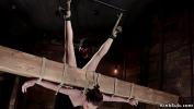 คริปโป๊ Slut in extreme hogtie hanged and whipped ร้อน 2024