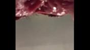 หนังเอ็ก Unicorncervix extreme close up gape with speculum fuck period Wide and swollen extreme close up graphic point of view period Extreme Mp4 ฟรี