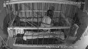 คลิปxxx The Cage cam unedited un planned ล่าสุด 2024