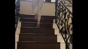 คลิปโป๊ฟรี Tess Kielhamer walking on the stairs ร้อน 2024