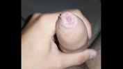 คริปโป๊ cumshot 3gp ล่าสุด