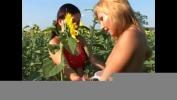 หนังเอ็ก Young playful babes Doryna and Anette Blond willingly caress their cunts with toys on the sunflower field 2024 ร้อน