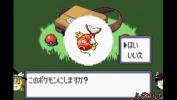 ดูหนังxxx 【ゆっくり実況】全てのポケモンが出現するサファイアpart1【改造ポケモン】 3gp