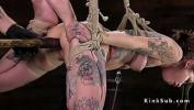 คริปโป๊ Hogtied and suspended alt slave toyed 2024 ล่าสุด