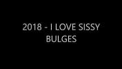 หนังเอ็ก 2018 I LOVE SISSY BULGES 2024