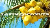 หนังเอ็ก LATIN COCONUTS 3gp ล่าสุด