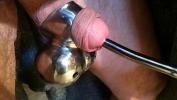 หนังโป๊ใหม่  11 Sounding of cock and scrotum weights