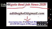 ดูหนังโป๊ Gigolo Full Information gigolo jobs 2020 2024 ร้อน