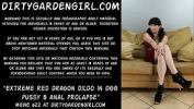 หนังเอ็ก Extreme red dragon dildo in Dirtygardengirl pussy amp anal prolapse ล่าสุด