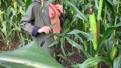 หนังxxx public risky raincoat sex in a cornfield projectfundiary ดีที่สุด ประเทศไทย