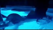 หนัง18 Giselle Montes folla en la piscina parte 2 Mp4