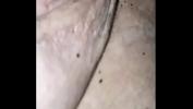 หนัง18 White Pierced Shaved Pussy takes Creampie from BBC Mp4