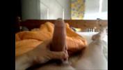 ดูหนังav nice cock Mp4 ล่าสุด