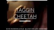 ดูหนังav Taggin Cheetah Thique Interracial Safari TowerVision blowjob ล่าสุด 2024