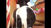 คริปโป๊ Shy Gal Farts while Twerking lpar Fart edit by Wceen rpar Mp4