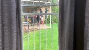 หนังav I caught my neighbours fucking outside in the backyard ล่าสุด