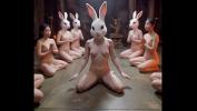 คริปโป๊ naked rabbit meditate comma ai 3gp ฟรี