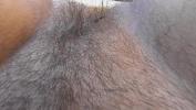 คลิปxxx Rimming from hairy mature 2024 ร้อน