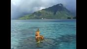 คลิปxxx Katja Has Sex Underwater in the Tropical Waters near Bora Bora Mp4