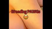 หนังxxx Breeding PAWGs excl ล่าสุด 2024