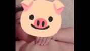 หนัง18 pig bbw Mp4 ล่าสุด