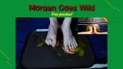 คลิปโป๊ฟรี Morgan Goes Wild ndash Breakingeggs Free preview ล่าสุด 2024