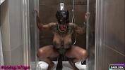 คลิปxxx The Kinky Slut Queen Dark Dea in Horny Wet Fuck with the Huge SeaHorse XL and her Bull Dark in the Bathroom part period 1 lpar DarkDea for Hankey apos sToys period com rpar lpar EXTREME INSERTION FETISH FEMDOM SIZE QUEEN rpar ล่าสุด