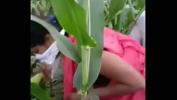 หนังโป๊ Indian village Bhabhi sex in farm ร้อน