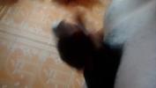 คลิปxxx Cute Gum tee masturbation video Mp4